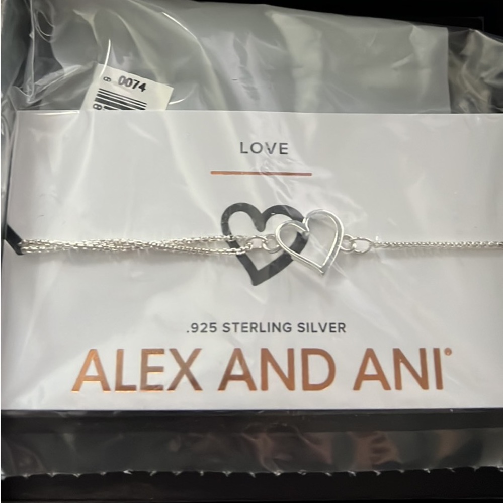 Alex and Ani pull chain bracelet